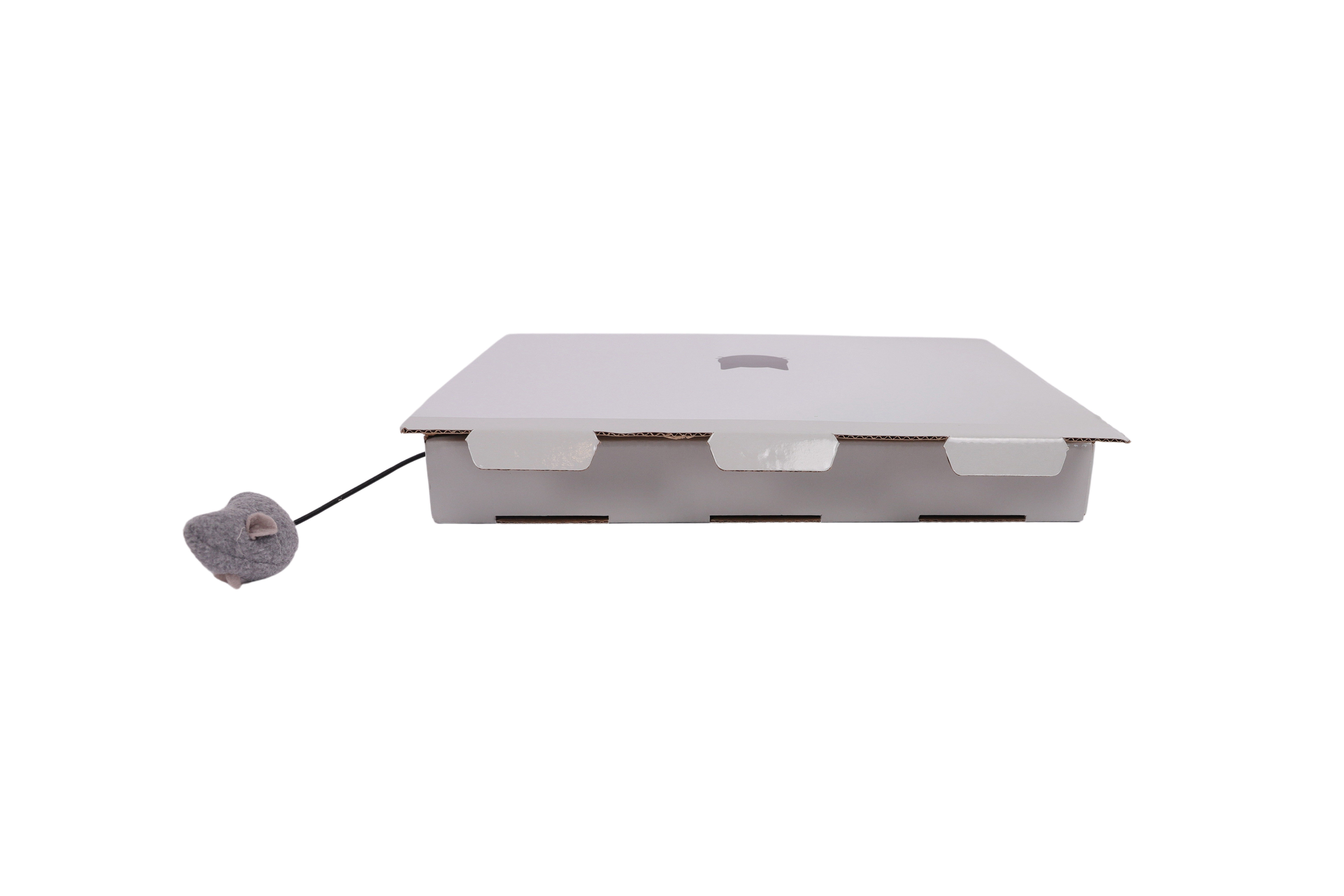 Animalis - Griffoir Carton CatBook Pro pour Chats - 33x22,5x26cm Image num&eacute;ro 8