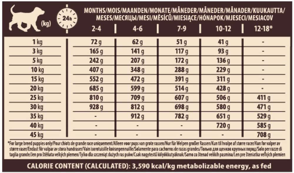 Wellness CORE - Croquettes Puppy Poulet & Dinde pour Chiot Grande Race - 2,75Kg Image num&eacute;ro 6