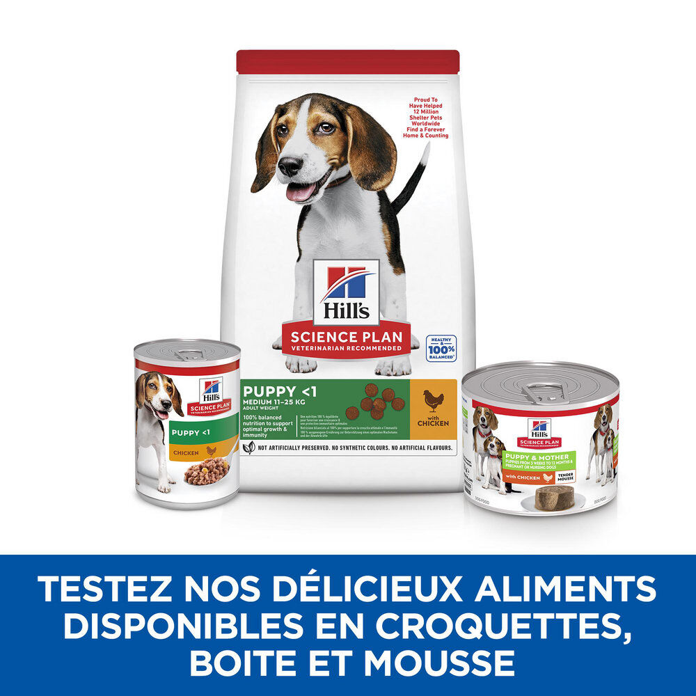 Hill's Science Plan - Puppy & Mother - Mousse Pour Chiot Et Chienne Allaitante Au Poulet  - 200g Image num&eacute;ro 4