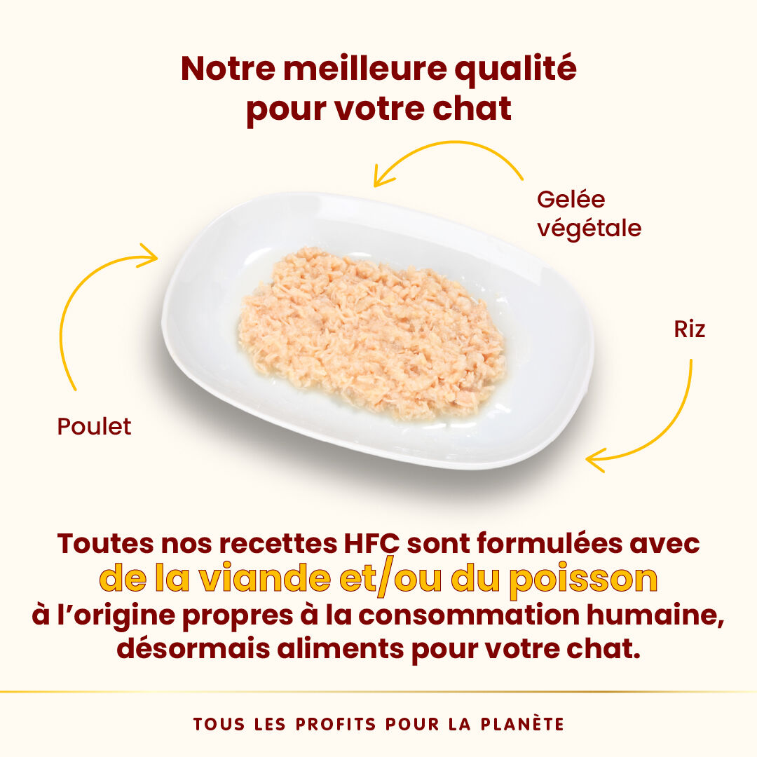 Almo Nature - P&acirc;t&eacute;e Hfc Jelly Poulet - 150g Image num&eacute;ro 3