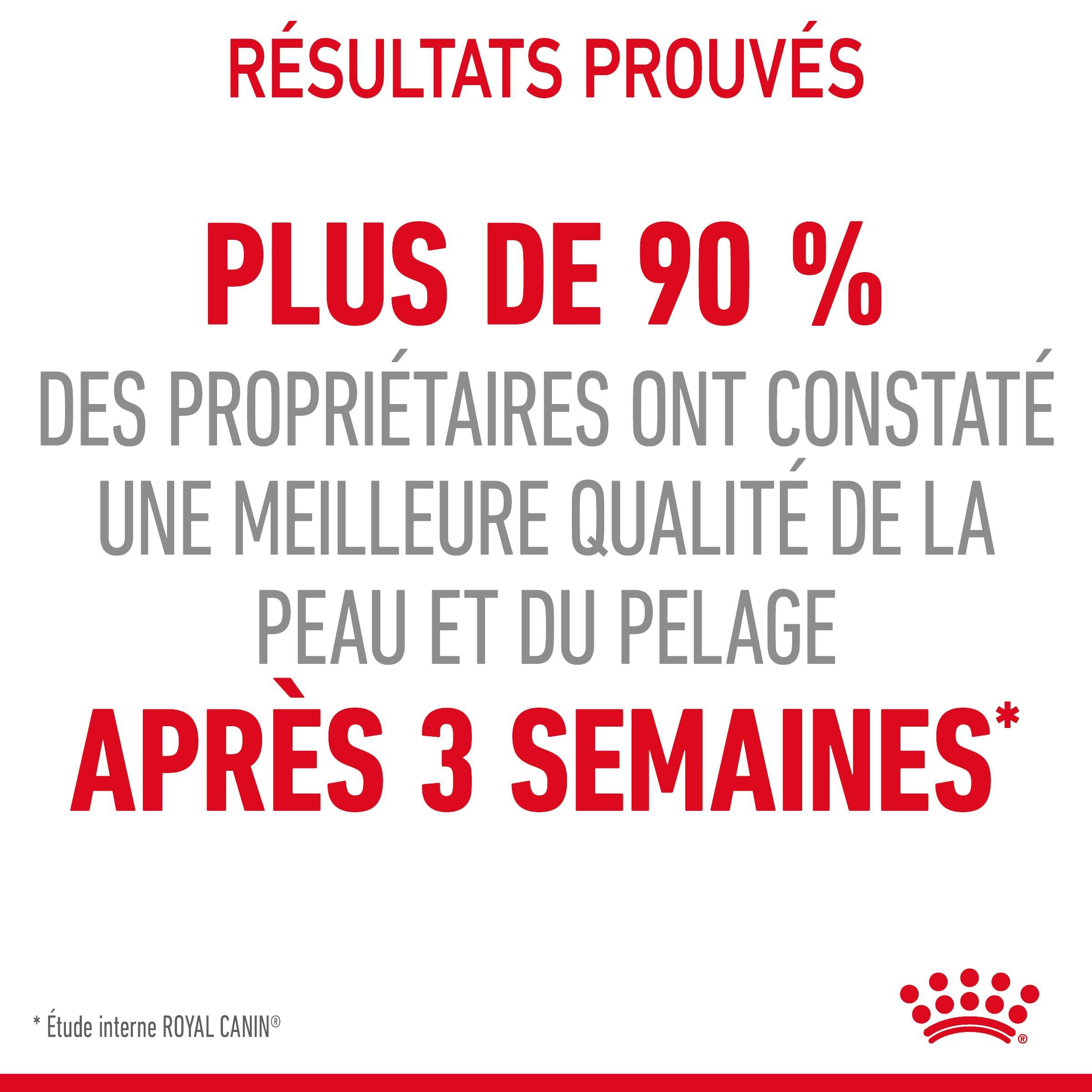 Royal Canin - Sachets Hair&Skin Gel&eacute;e pour Chat - 12x85g Image num&eacute;ro 4