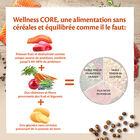 Wellness CORE - Croquettes Ocean Saumon et Thon pour Chat - 4Kg image number null