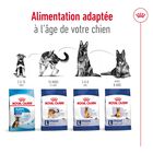 Royal Canin - Croquettes Maxi Adult - 15Kg image number null
