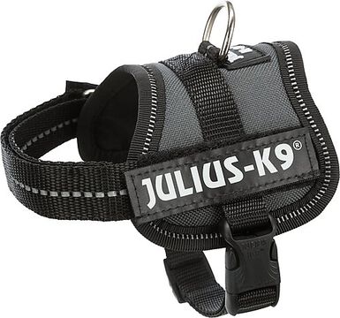 Julius K9 - Harnais Anthracite pour Chien