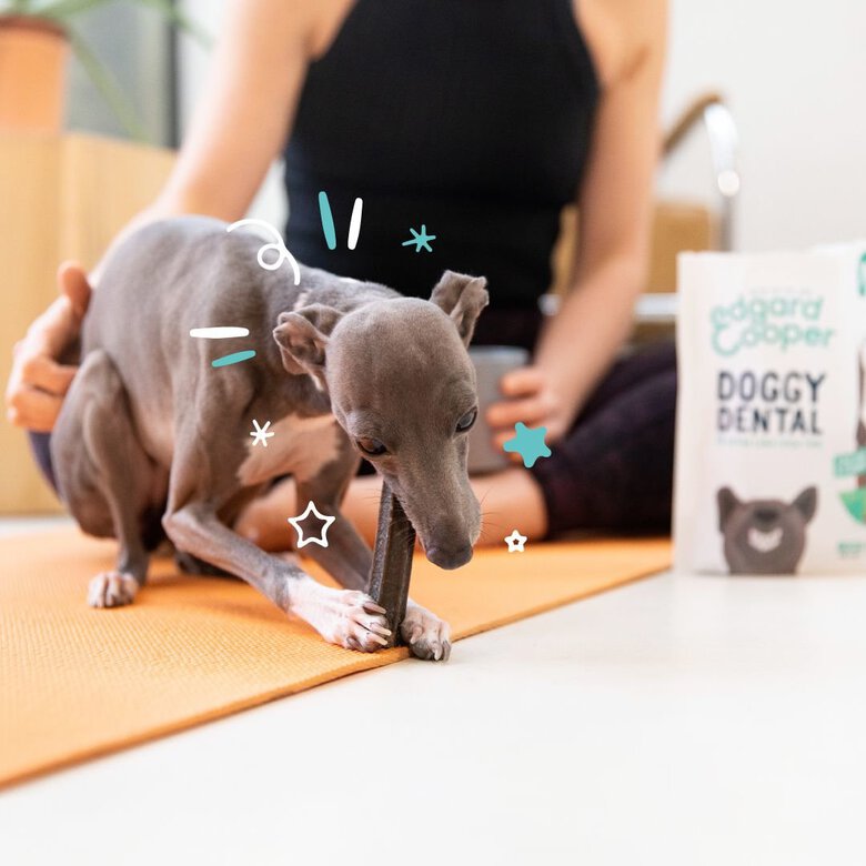 Edgard & Cooper - Sticks à Mâcher Dental Naturel à la Fraise et Huile de Menthe pour Chien - S Image numéro 3 Edgard & Cooper - Sticks à Mâcher Dental Naturel à la Fraise et Huile de Menthe pour Chien - S Image numéro 3