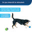 PetSafe - Jouet Interactif Ricochet pour Chiens Indicateur image numéro 4