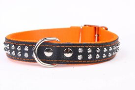 Yogipet - Collier Cuir Nylon Studs pour Chien - Orange