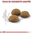 Royal Canin - Croquettes Indoor Long Hair pour Chat - 2Kg image number null
