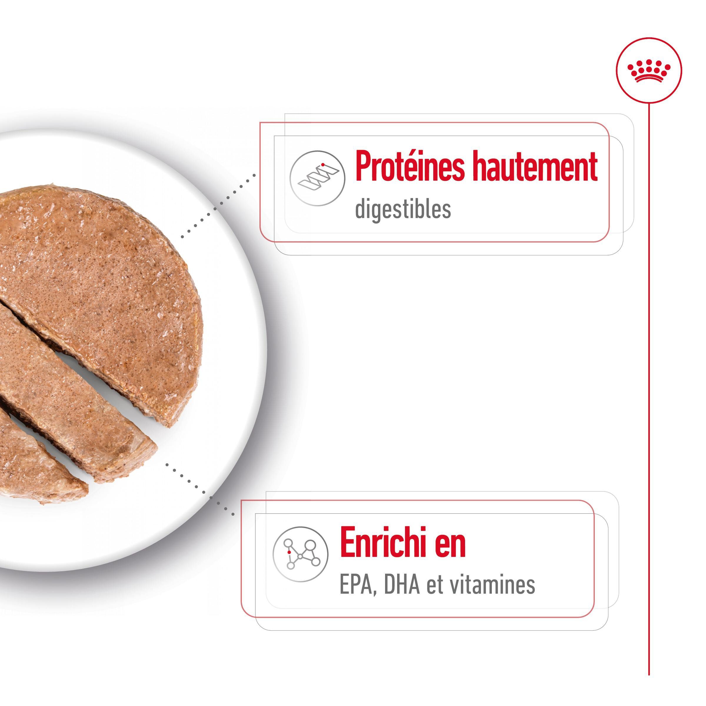 Royal Canin - P&acirc;t&eacute;e en Mousse Maxi Adult Ageing L - 410g Image num&eacute;ro 4