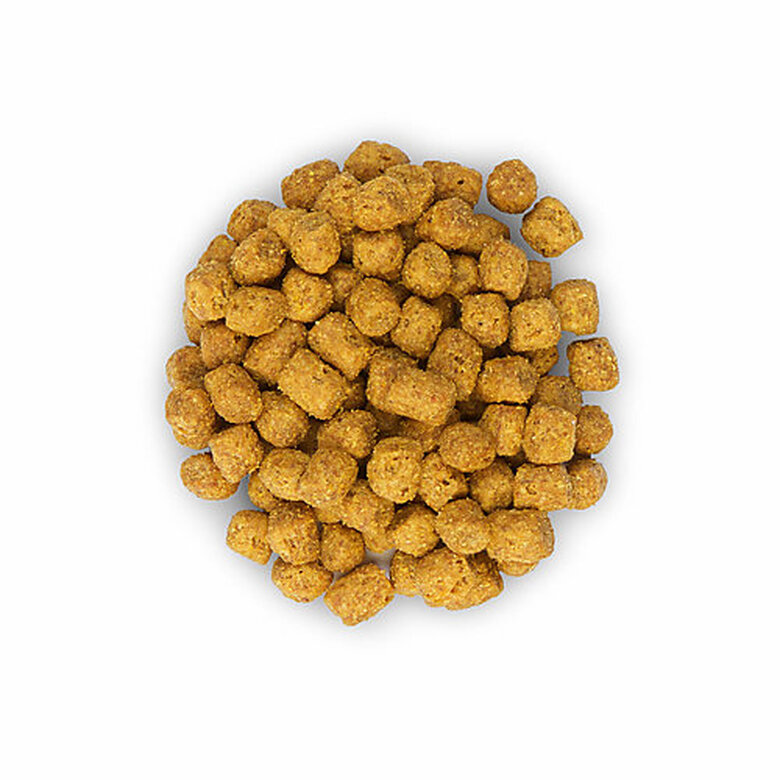 Hill's Science Plan - Croquettes Sterilised Young Adult Poulet pour Chat - 1,5Kg image number null