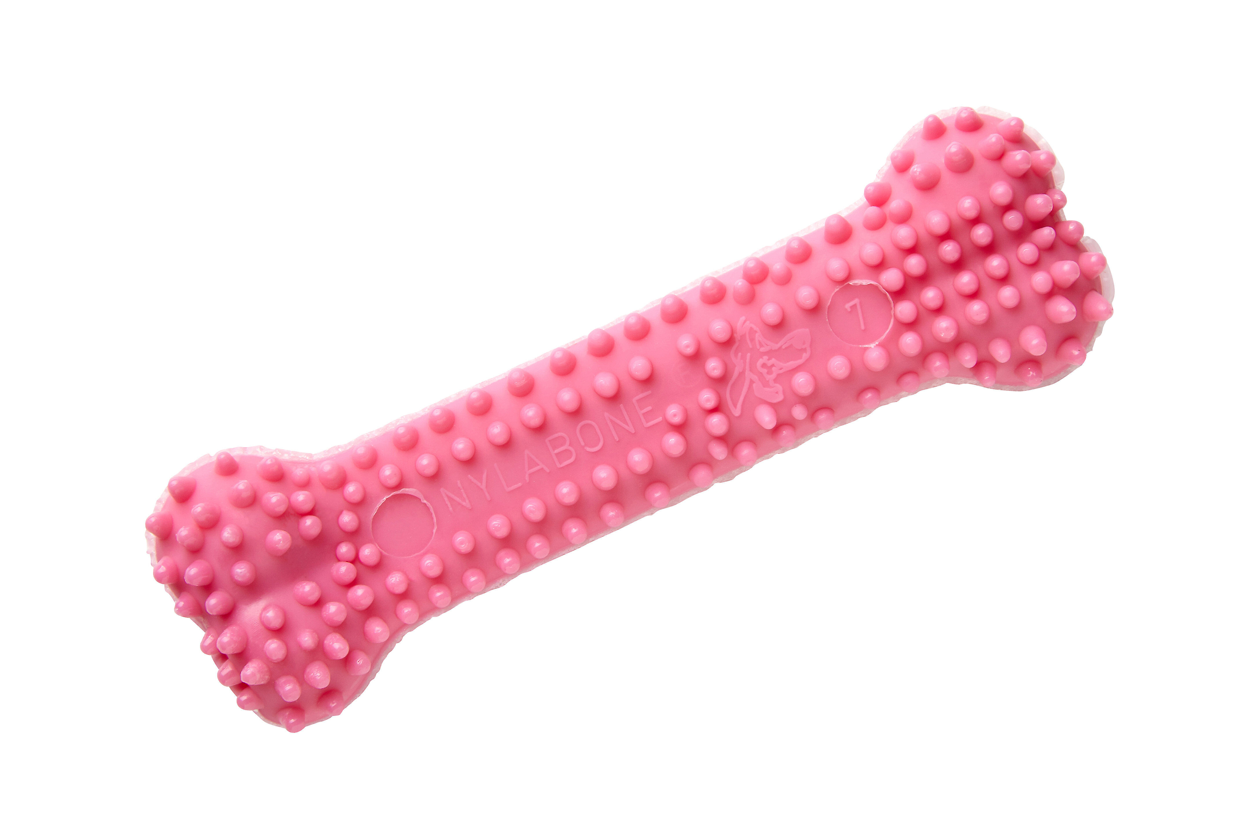 Nylabone - Jouet &agrave; M&acirc;cher Puppy Dental Bone XS - Rose Image num&eacute;ro 3