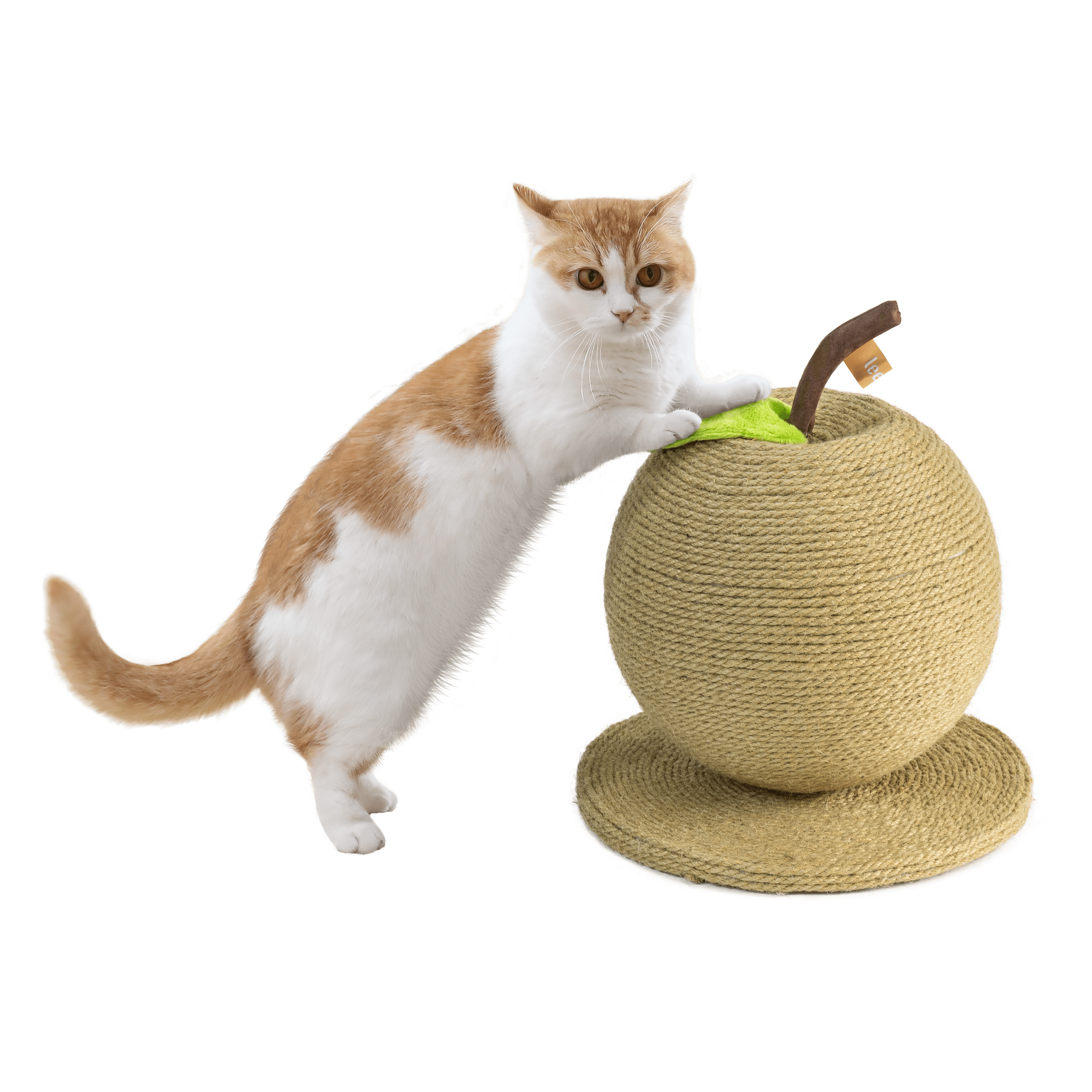 Leeby - Griffoir Pomme Funny pour Chats - 26x30cm Image num&eacute;ro 1