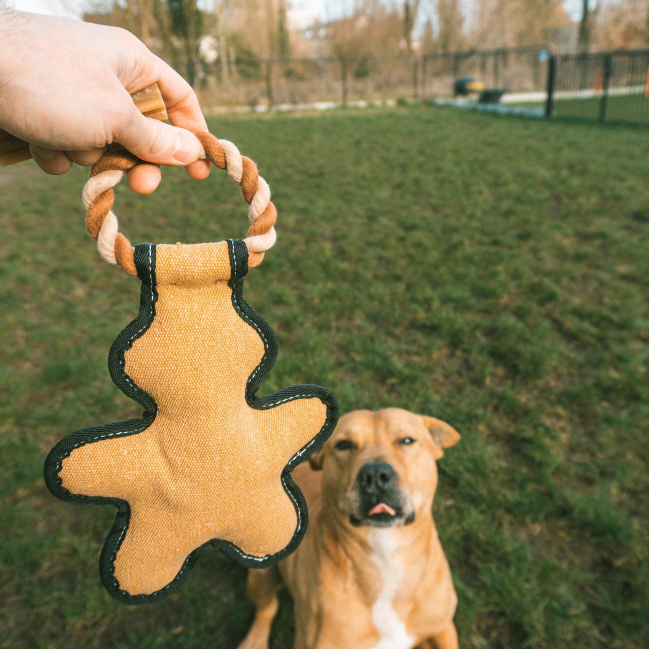 Duvoplus - Jouet Canvas bonhomme en pain d'&eacute;pice Multicolore - 17 x 28 x 55 cm Image num&eacute;ro 1