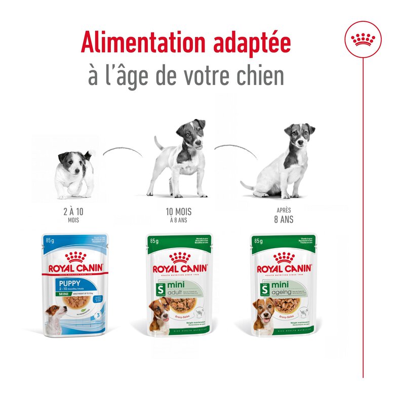 Royal Canin - Sachets Mini Adult en Sauce pour Chien - 12X85g Image numéro 6 Royal Canin - Sachets Mini Adult en Sauce pour Chien - 12X85g Image numéro 6