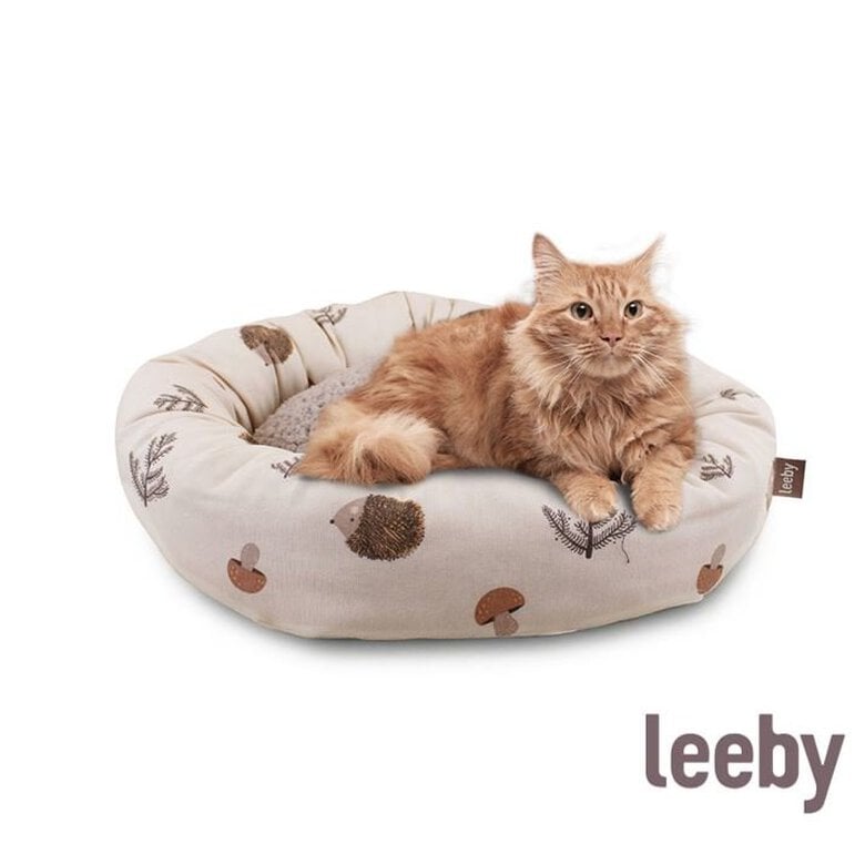 Leeby - Donut Hérisson pour Chats Image numéro 1 Leeby - Donut Hérisson pour Chats Image numéro 1
