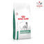 Royal Canin - Croquettes Veterinary Glycobalance Diabetic pour Chien - 12Kg Indicateur image num&eacute;ro 2