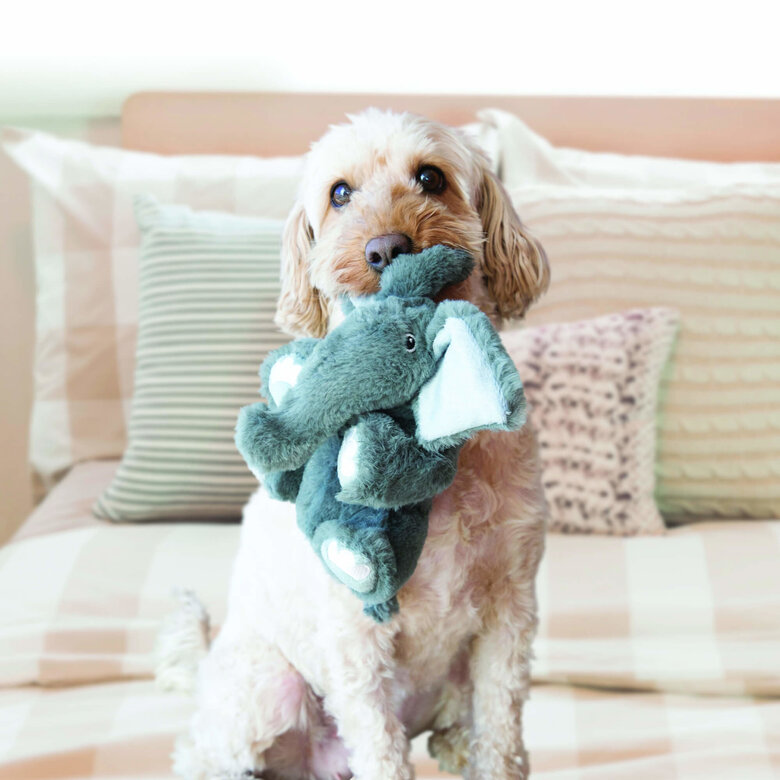 KONG - Peluche Comfort Kiddos Elephant pour Chien - S Image numéro 2 KONG - Peluche Comfort Kiddos Elephant pour Chien - S Image numéro 2