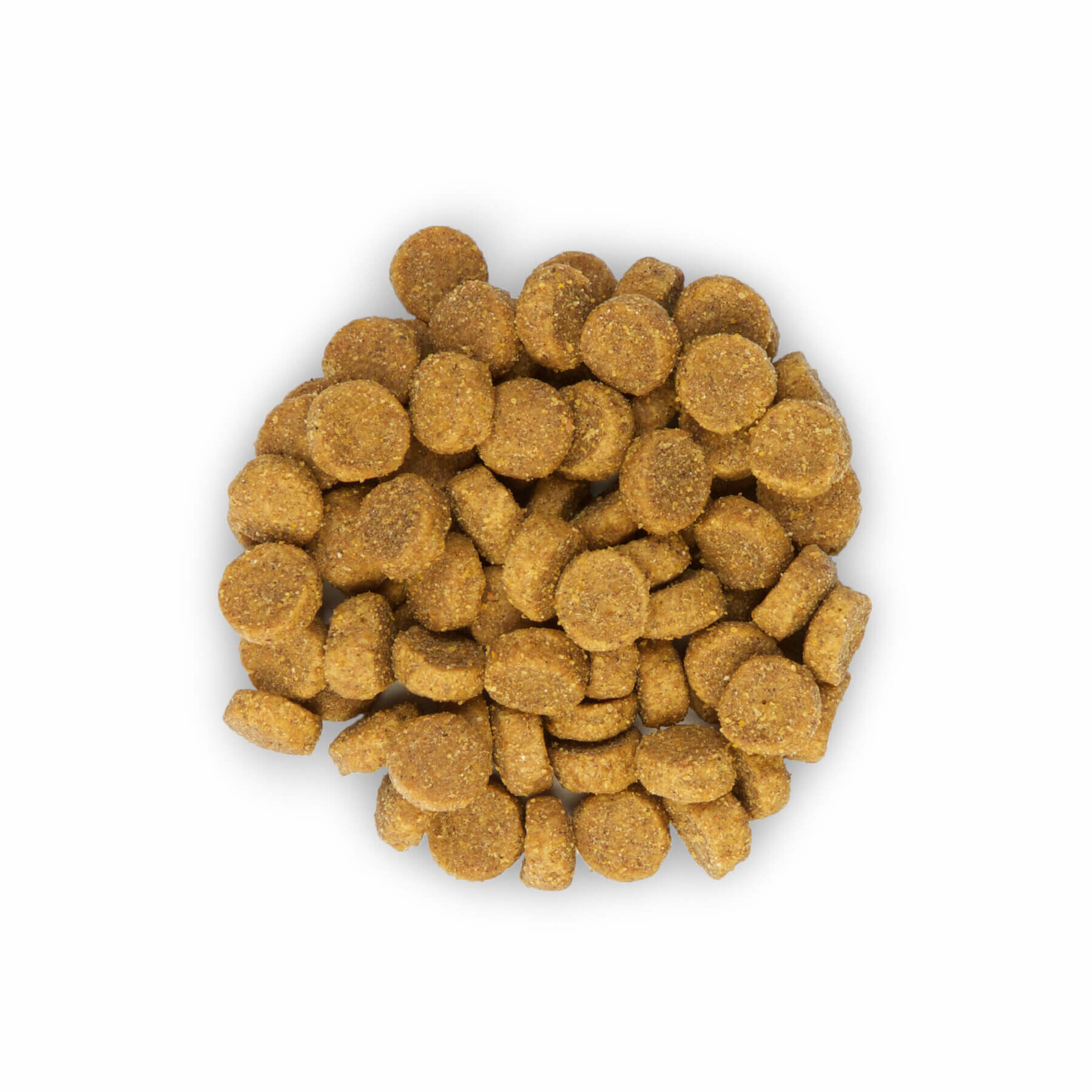 Hill's Science Plan - Croquettes Optimal Care Adult Poulet pour Chat - 5Kg Image num&eacute;ro 3