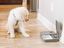 PetSafe - Distributeur Automatique 2 Repas pour Chien et Chat Indicateur image numéro 4