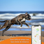 Weenect - Traceur GPS L/XL Edition 2023 pour Chiens - Noir Indicateur image numéro 4