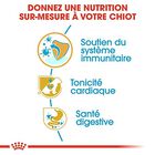 Royal Canin - Croquettes Cavalier King Charles Junior pour Chiot - 1,5Kg image number null