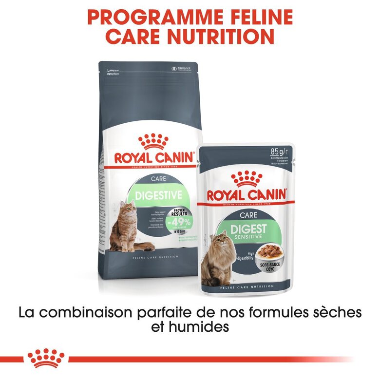 Royal Canin - Croquettes Digestive Care pour Chat - 2Kg Image numéro 4 Royal Canin - Croquettes Digestive Care pour Chat - 2Kg Image numéro 4