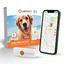Weenect - Traceur GPS L/XL Edition 2023 pour Chiens - Blanc Indicateur image num&eacute;ro 1