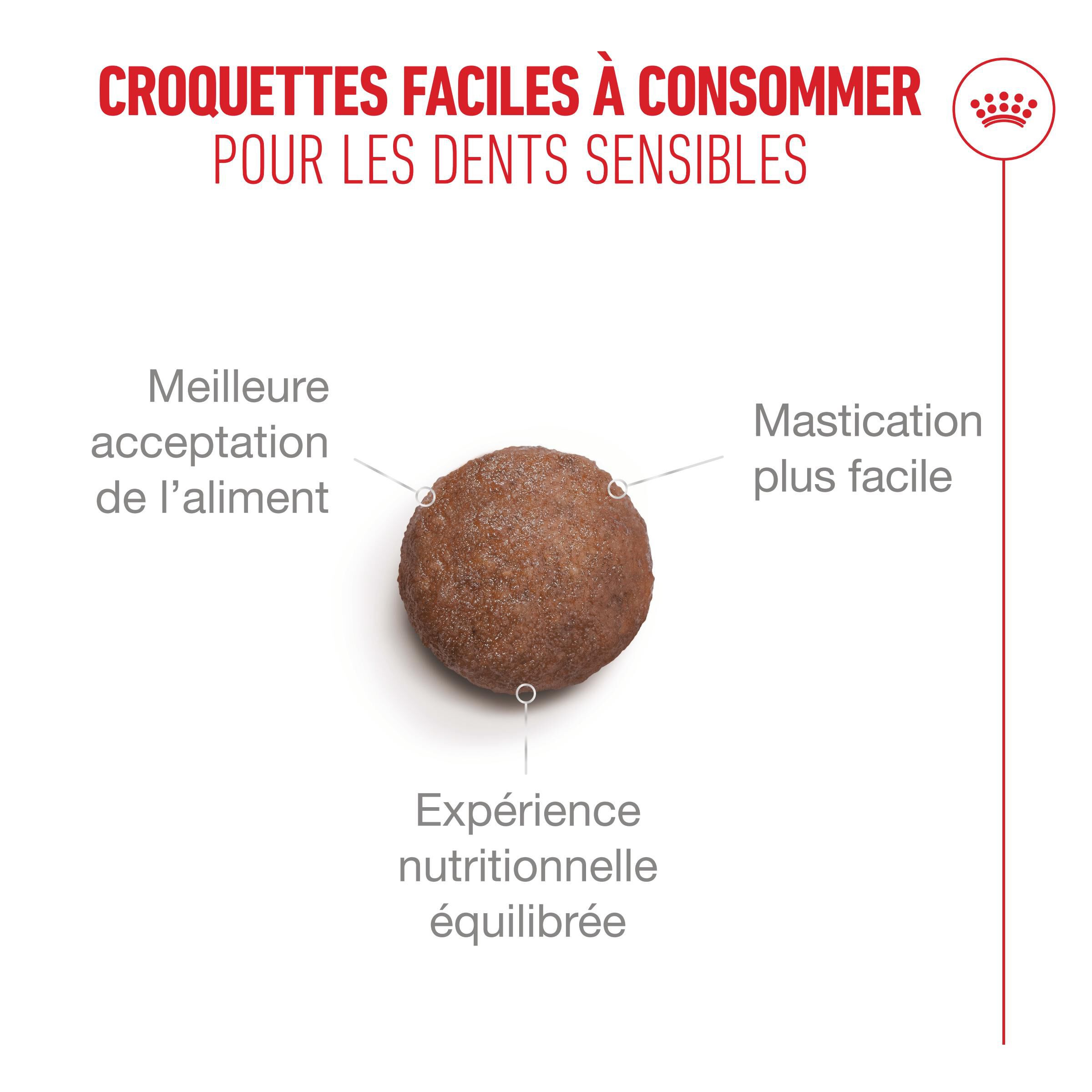 Royal Canin - Croquettes Ageing 15+ pour Chats Senior - 400g Image num&eacute;ro 5