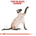Royal Canin - Croquettes Siamese Adult pour Chats - 2Kg image number null