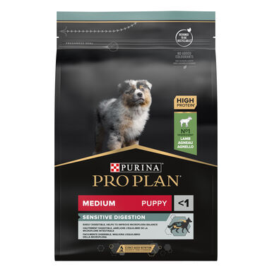 Pro Plan - Croquettes Medium Puppy Sensitive Digestion à l' Agneau pour Chiot - 3Kg