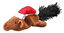 Trixie - Jouet Souris Ecureuil pour Chat - 14–17 cm Indicateur image numéro 1