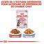 Royal Canin - Sachets Kitten Sterilised en Gelée pour Chaton - 12x85g Indicateur image numéro 7
