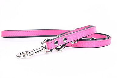 Yogipet - Laisse Ajustable 1,6/220cm pour Chien - Rose