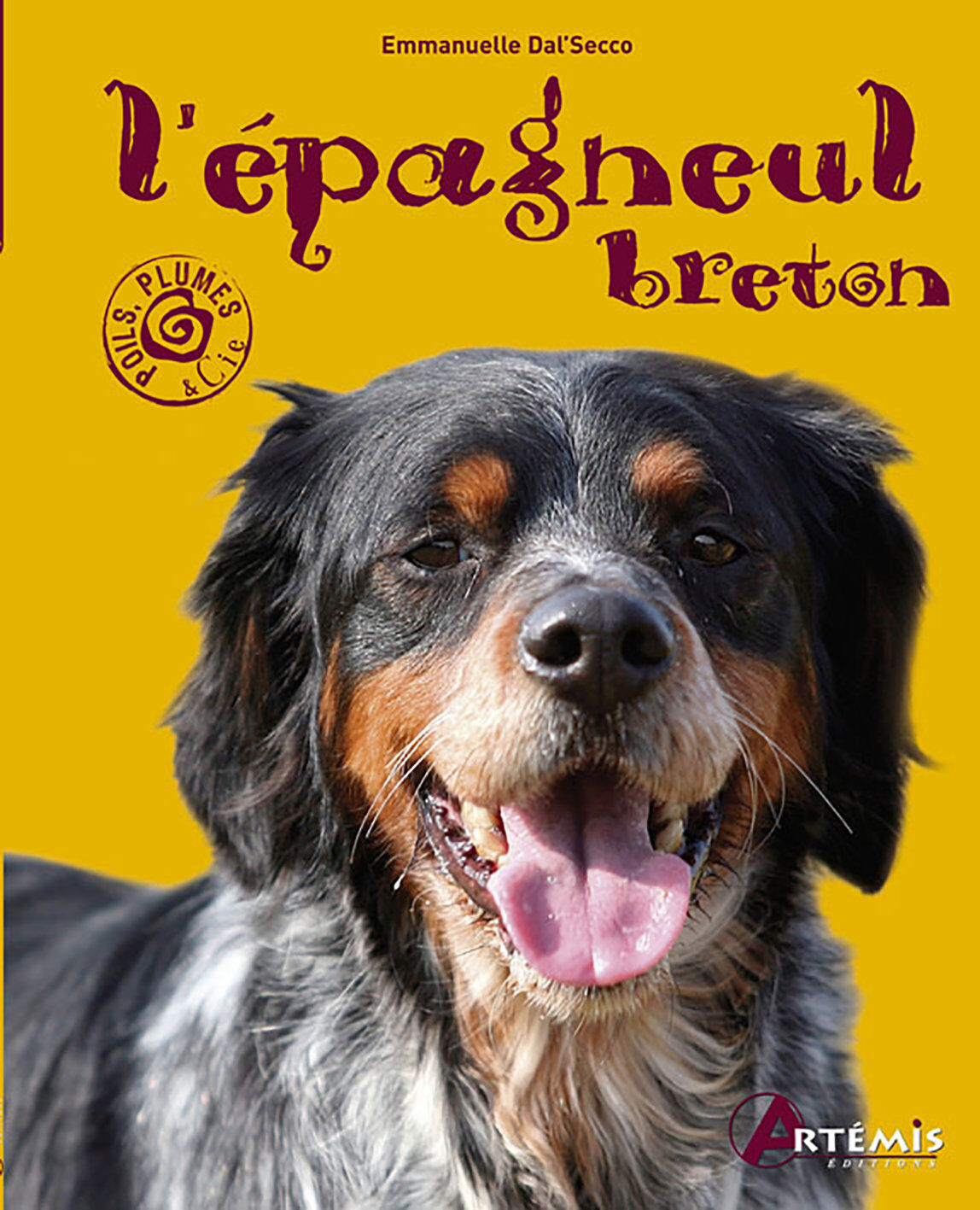 Art&eacute;mis - L'&Eacute;pagneul Breton Image num&eacute;ro 1