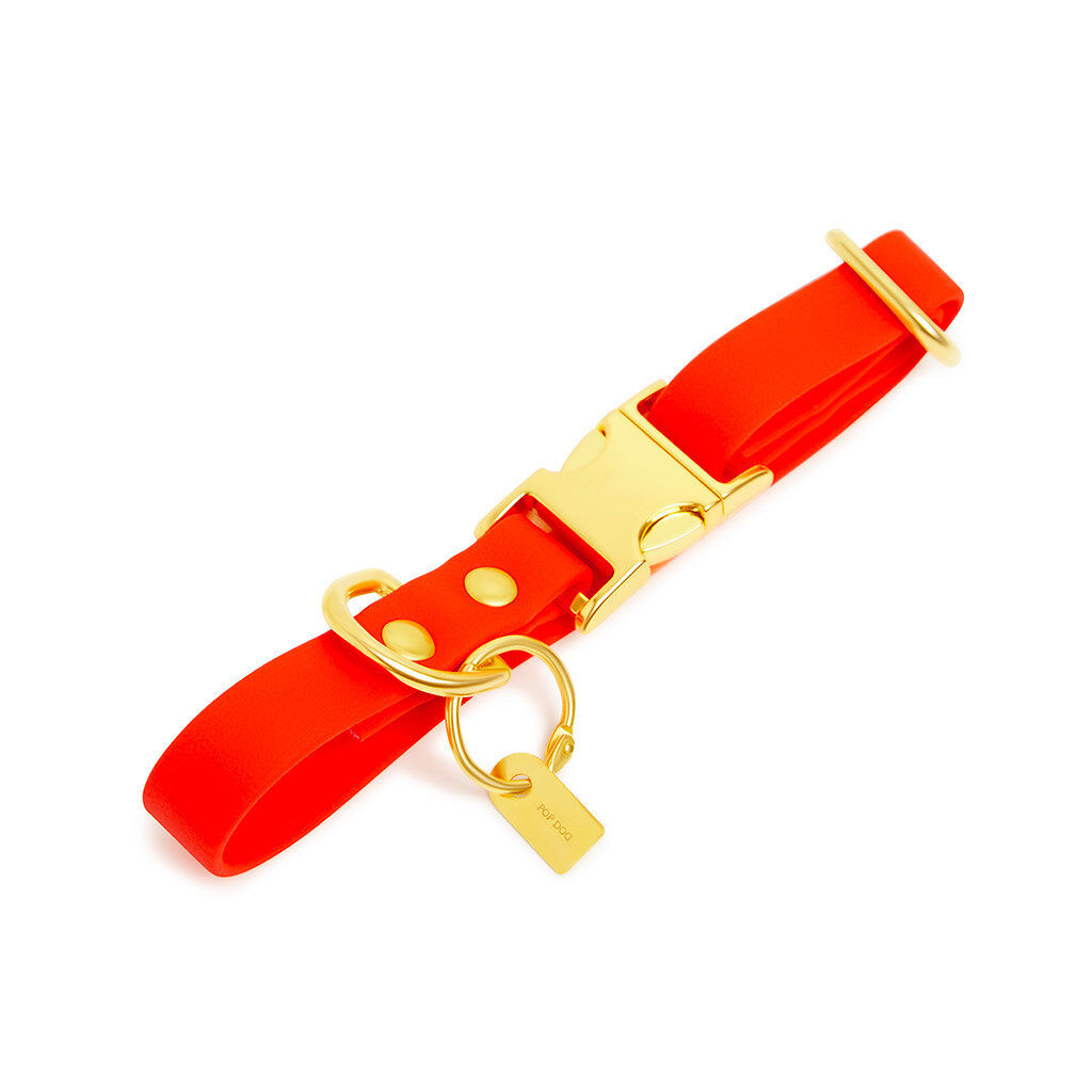 Pop Dog - Collier Foufou Orange pour Chien - S Image num&eacute;ro 1