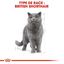 Royal Canin - Croquettes British Shorthair pour Chat Adulte - 2Kg Indicateur image numéro 3