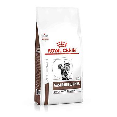 Royal Canin - Croquettes Gastro Intestinal Moderate Calorie pour Chat - 4Kg