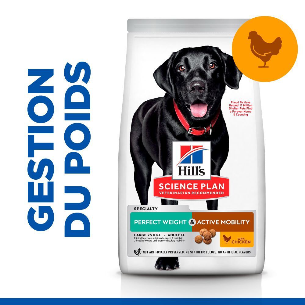 Hill's Science Plan - Perfect Weight & Active Mobility Croquettes Chien Adulte Grande Race Poulet -12kg Image num&eacute;ro 5