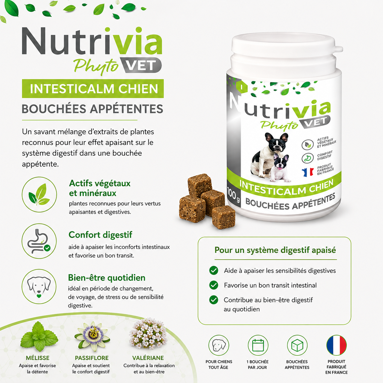 Nutrivia Vet - Bouch&eacute;es App&eacute;tentes Intesticalm pour Chiens - 100g Image num&eacute;ro 2
