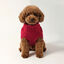 Gotoo - Pull Torsade Rouge pour Chiens- 20cm Indicateur image num&eacute;ro 4