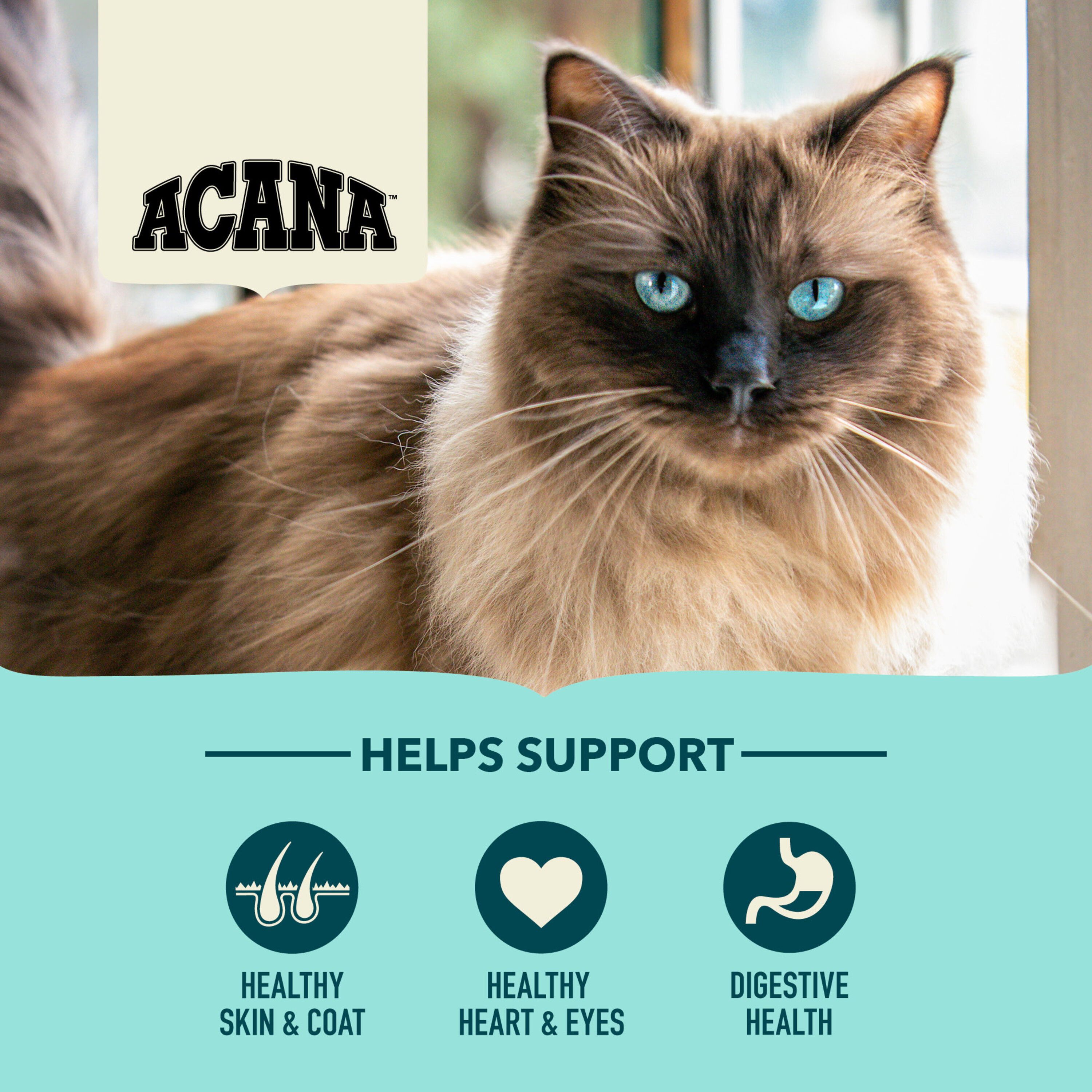 Acana - Croquettes Adult Bountiful Catch Saumon et Harengs pour Chats - 4,5Kg Image num&eacute;ro 8