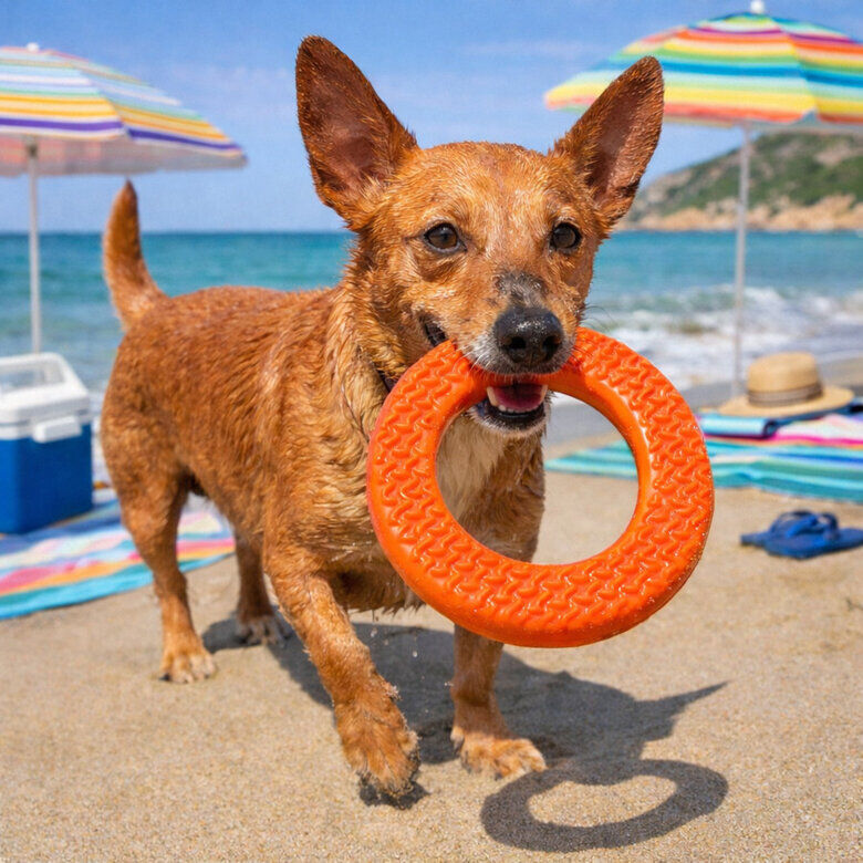 Summer Vibes - Jouet Anneau Rafra&icirc;chissant pour Chiens - Orange Image num&eacute;ro 4
