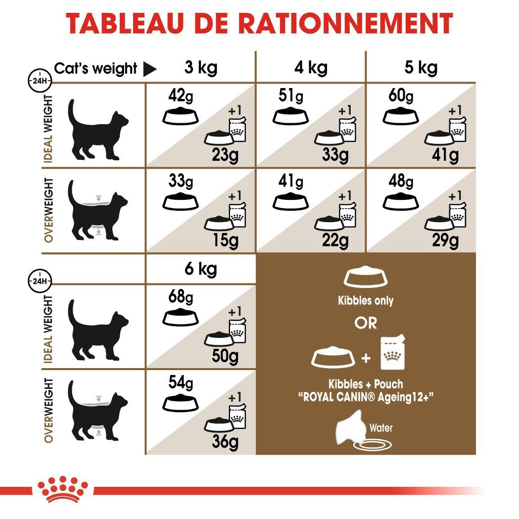 Royal Canin - Croquettes Ageing +12 pour Chat Senior - 2Kg Image num&eacute;ro 5