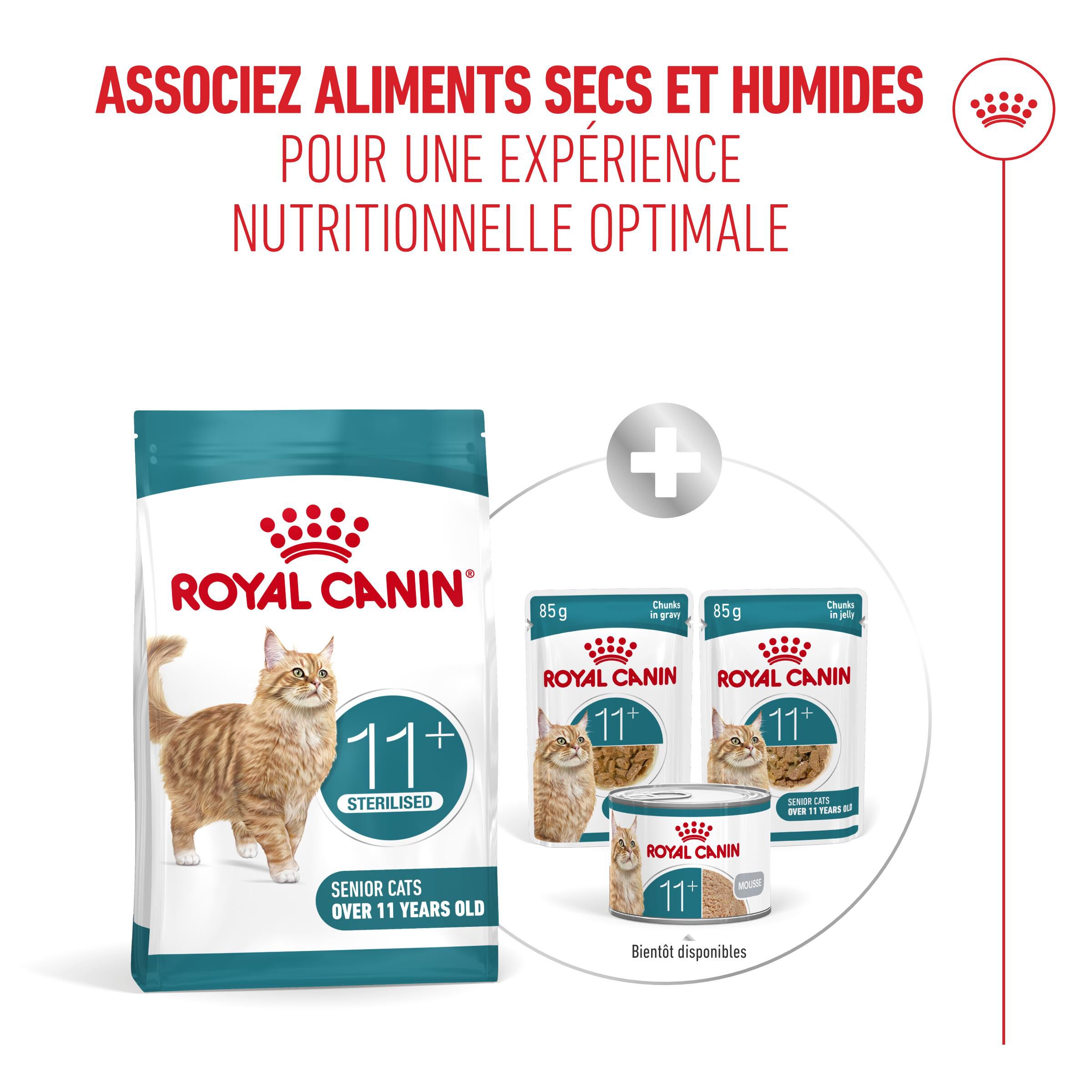 Royal Canin - Croquettes Ageing Sterilised 11+ pour Chats Senior St&eacute;rilis&eacute;s - 400g Image num&eacute;ro 8