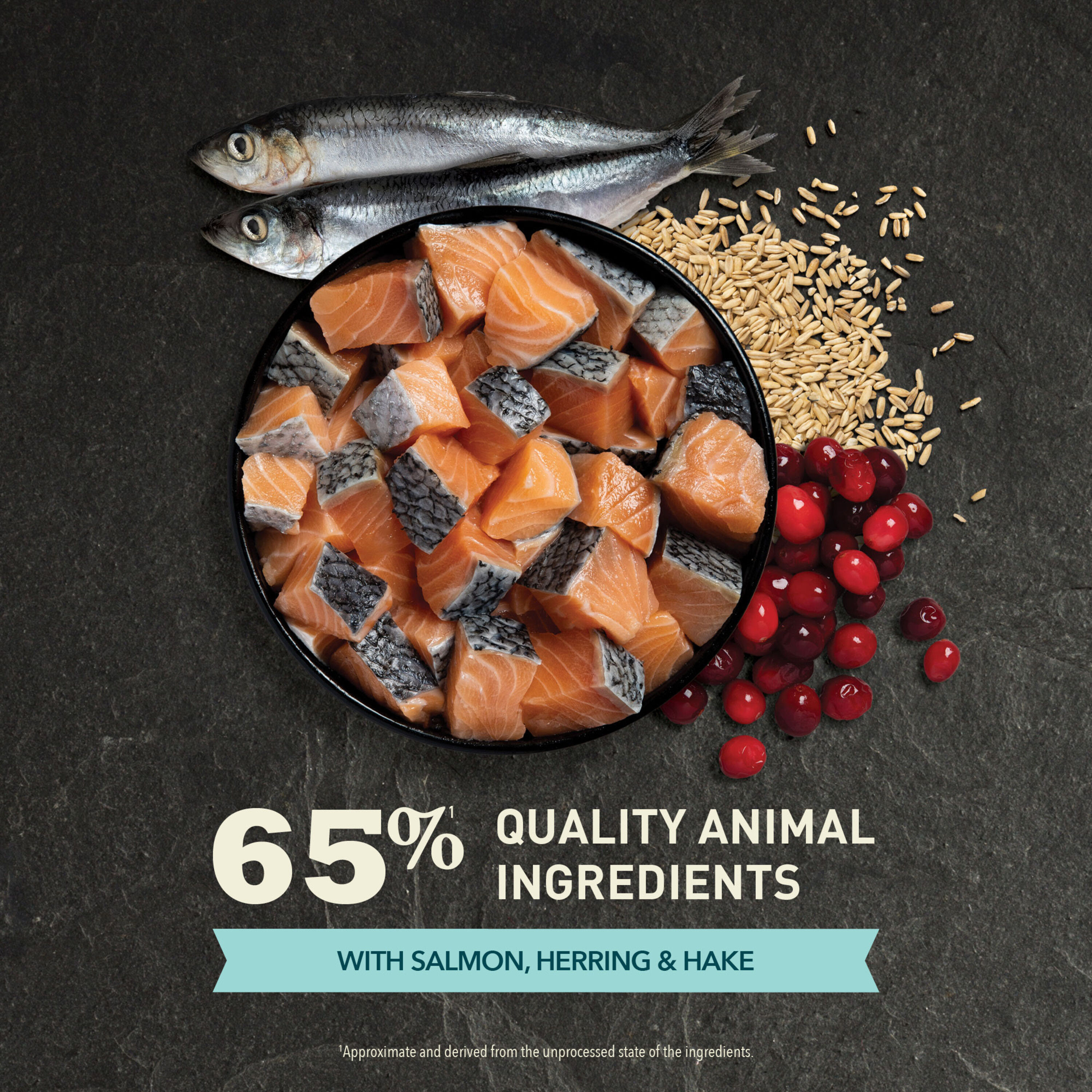 Acana - Croquettes Adult Bountiful Catch Saumon et Harengs pour Chats - 4,5Kg Image num&eacute;ro 7