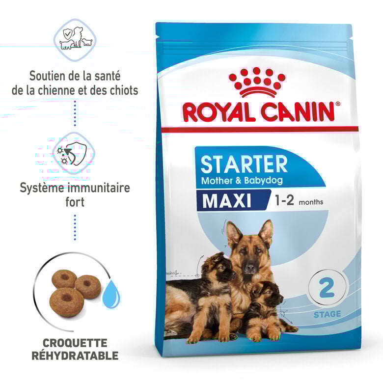 Royal Canin - Croquettes Starter Mother & Babydog Maxi - 4Kg Image numéro 1 Royal Canin - Croquettes Starter Mother & Babydog Maxi - 4Kg Image numéro 1
