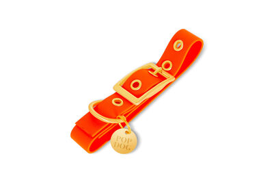 Pop Dog - Collier à ¼illet Foufou Orange pour Chien