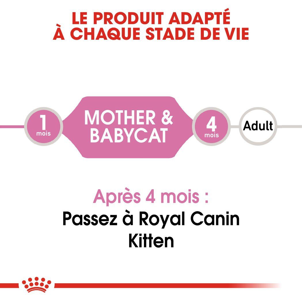 Royal Canin - Tendre Mousse Mother & Babycat Chatte et Chaton 0 &agrave; 4 Mois - 195g Image num&eacute;ro 5