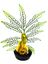 Labeo - Plante de Décoration avec Hippocampe Coloré pour Aquarium Indicateur image numéro 4