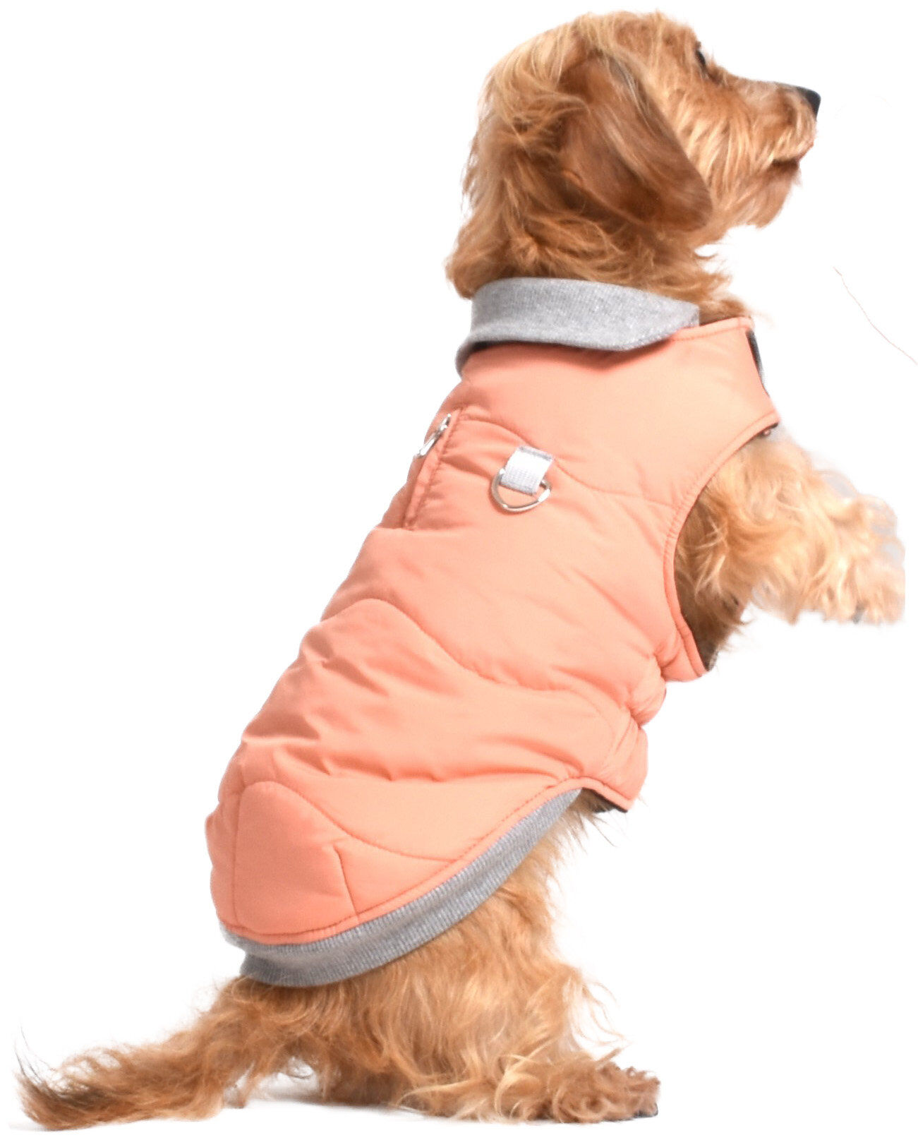 Bobby - Manteau Contraste Corail pour Chiens - XL/52cm Image num&eacute;ro 2